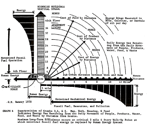 Graph 6